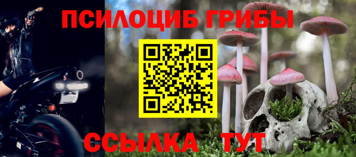 Галлюциногенные грибы MAGIC MUSHROOMS Элиста